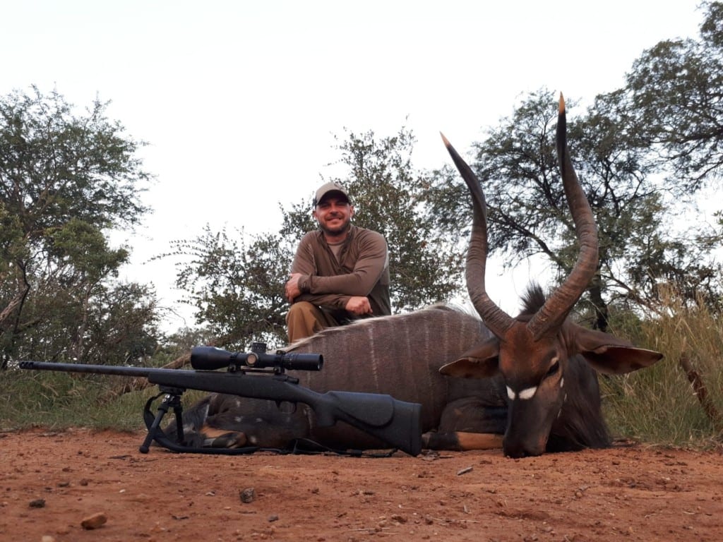 Nyala hunting in South Africa