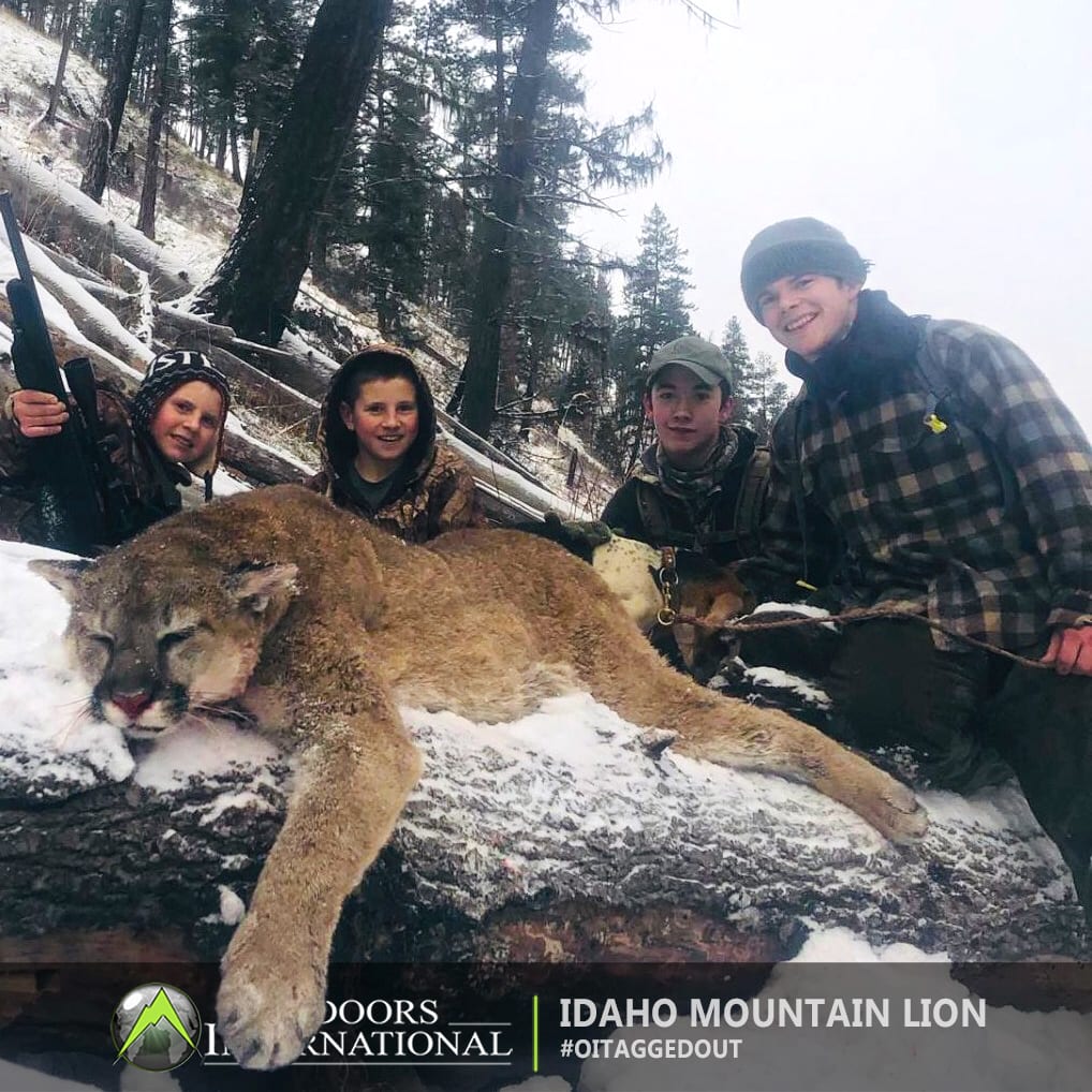 A mountain lion hunt can be a fun family event.