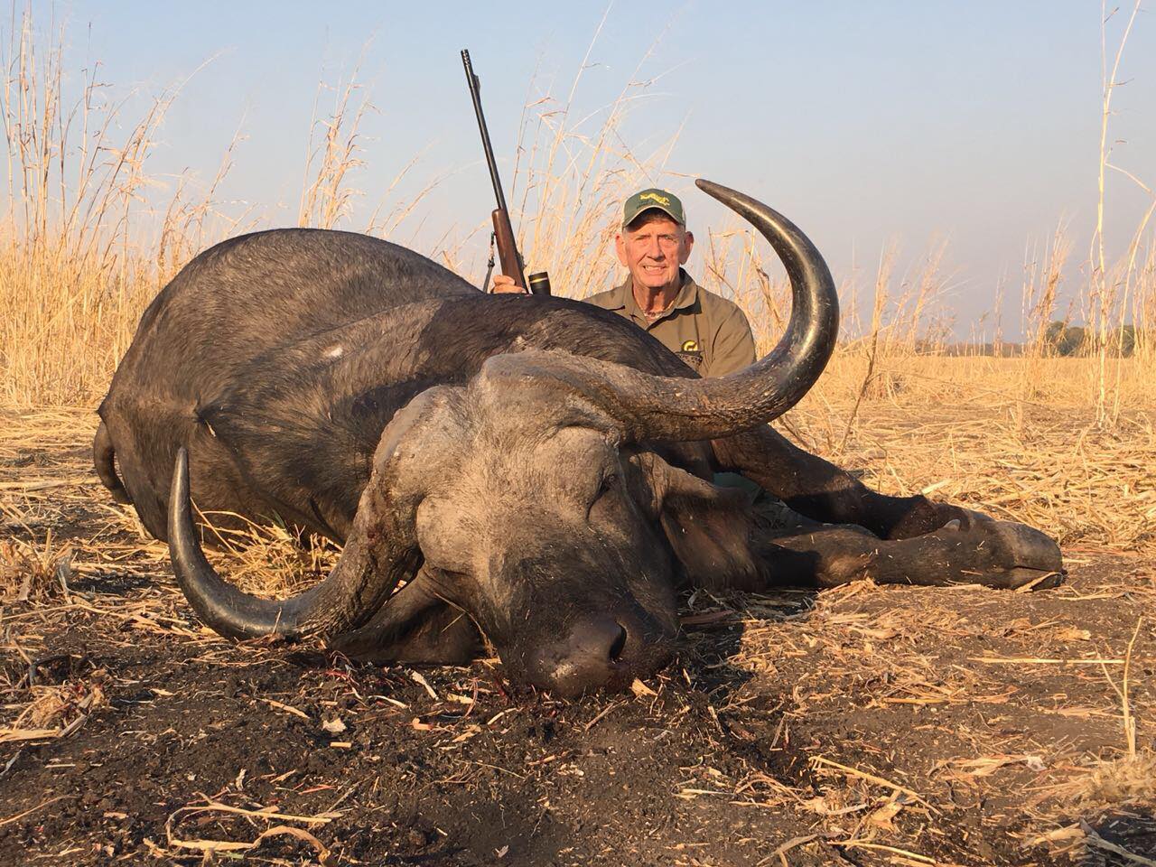 Buffalo hunting in Mozambique