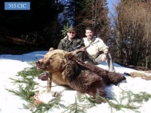 Eurasian brown bears are very similar to North American grizzly bears.