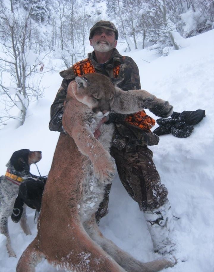 Mountain Lion Hunts Wyoming