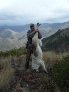 Idaho back country holds some very large old wolves. There are also high populations of black wolves!