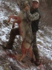 Idaho Wolf, Black Bear, Fly Fishing Cast and Blast