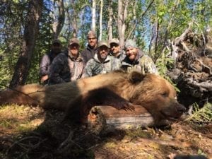 The ability to hunt brown bear has recently been allowed Alaska and is turning out to be quite the treat!