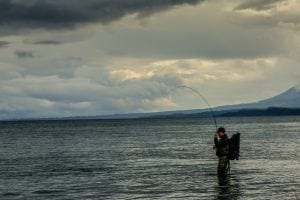 Fish on