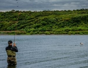 Fighting a salmon