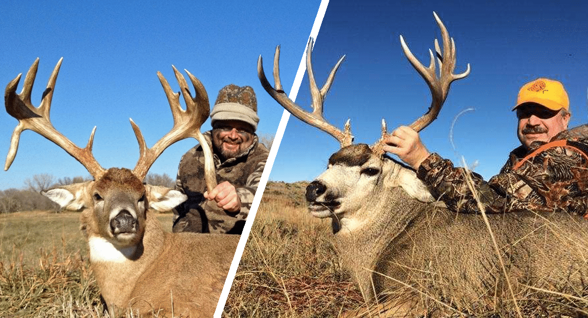 Nebraska Whitetail and Mule Deer Hunts