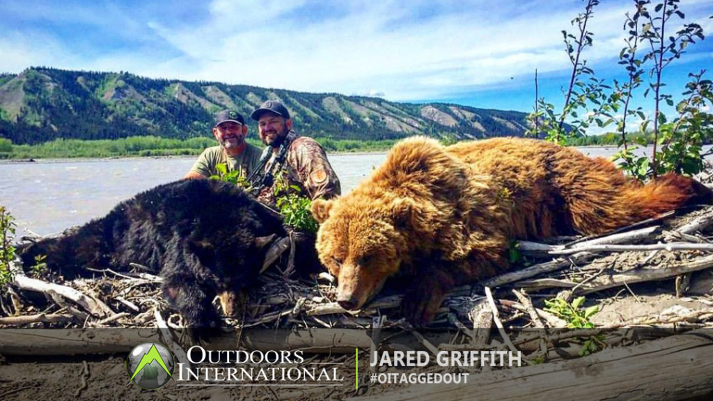 This is an archery hunters dream to go on this hunt. I shot 3 Bears in one night. One Brown and two Black Bears. I then shot a third Black Bear on the last night.