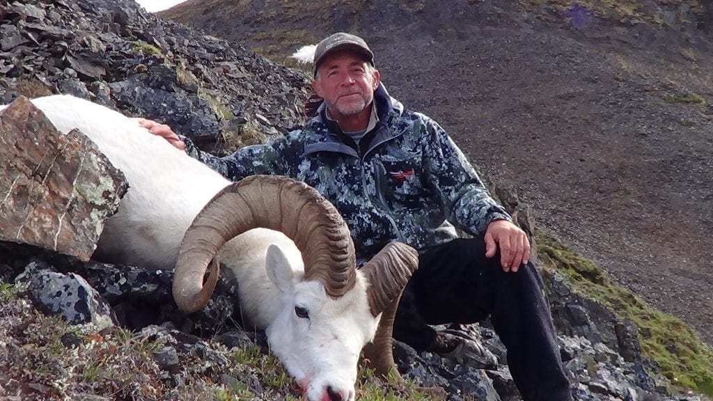 Dall Sheep offer one of the most attractive specimens, a stunning environment, and the most delicious meat in the hunting world.