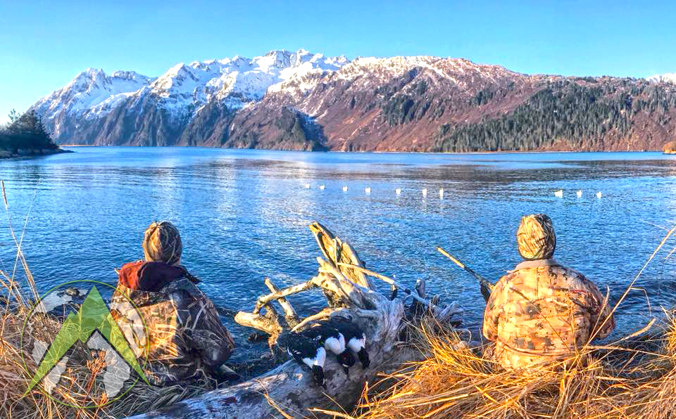 Duck hunting over decoys