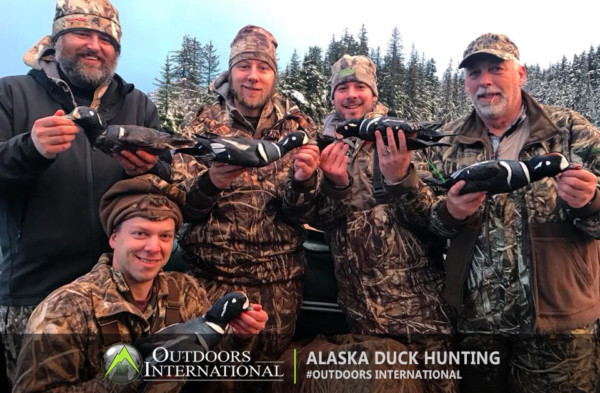 Everybody got a Harlequin