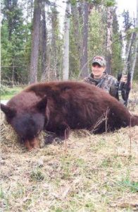 The healthy population of black bears and color phase bears makes this one of the best hunting experiences in British Columbia.