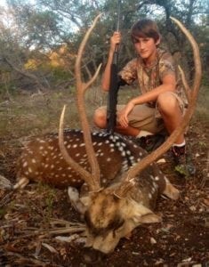 Texas trophy axis deer