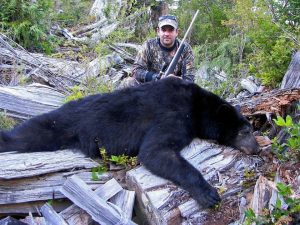 Black bear