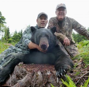 You will glass pre-scouted clear cuts and berryfields early in the morning and in the evening. Stopping for a lunch break at mid-day. Sometimes, calling can be effective as well.