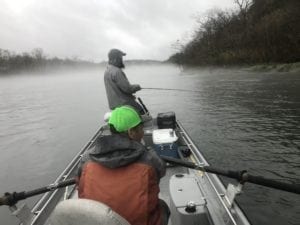 Fly fishing Arkansas