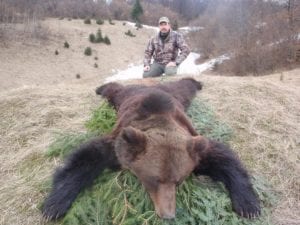 Keep Croatia in mind for Eurasian brown bear hunting. It is less expensive than North America with a higher success rate for bears squaring 8-9 feet on average.