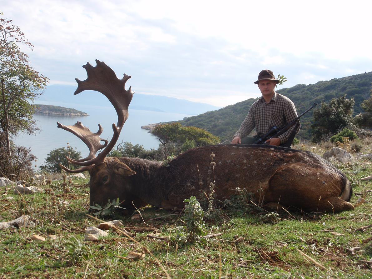 Hunt Free Range Fallow Deer on the Beautiful Mediterranean Isle of Plavnik in Croatia