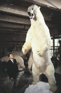 Largest Polar Bear ever recorded