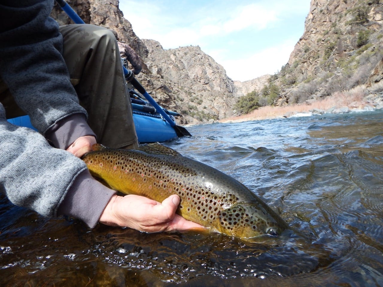 A float through the steep walled Gunnison Gorge is recognized as one of the top fly fishing trips in the lower 48.