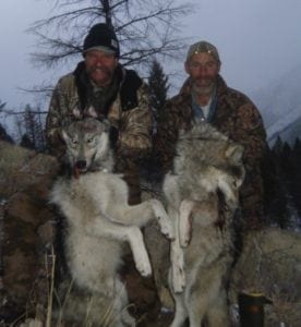 Idaho wolf hunt with Idaho Wilderness Company