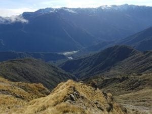 Hardyards hunting tahr in New Zealand