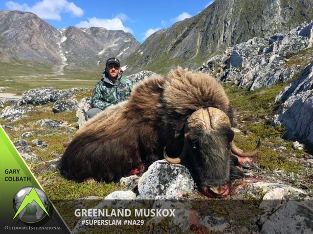 Gary Colbath's Boone and Crockett archery Greenland muskox