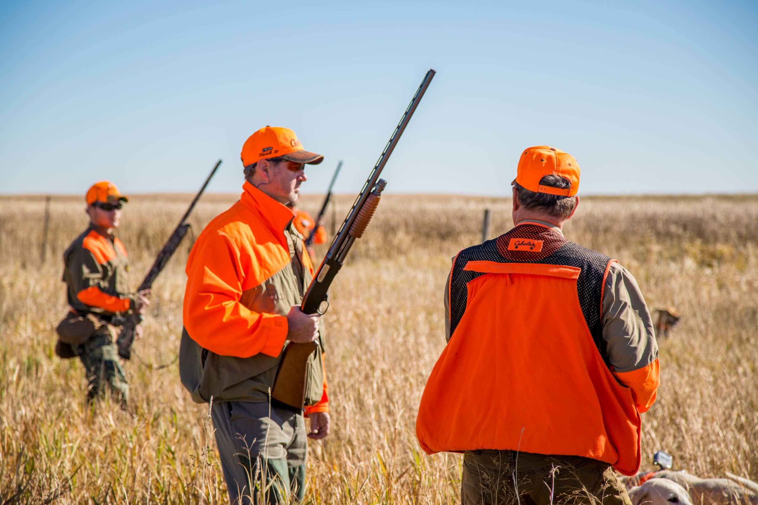 Guided South Dakota pheasant hunting