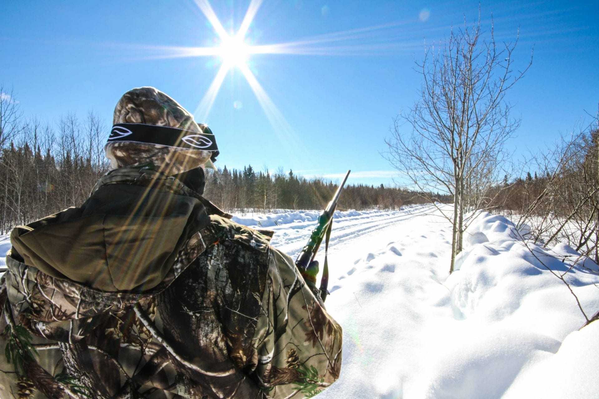 A nice day of wolf hunting