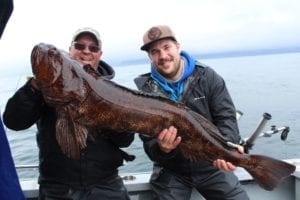 Lingcod Fishing in British Columbia