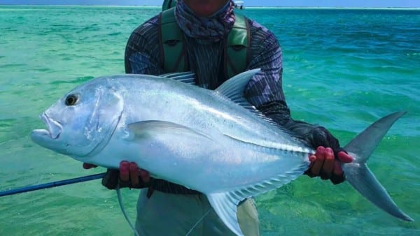 Christmas Island Giant Trevally Fly Fishing