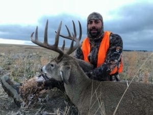 A great whitetail