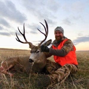 A nice Wyoming mule deer