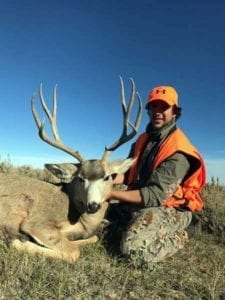 A solid mule deer