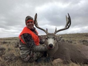 Heavy mule deer