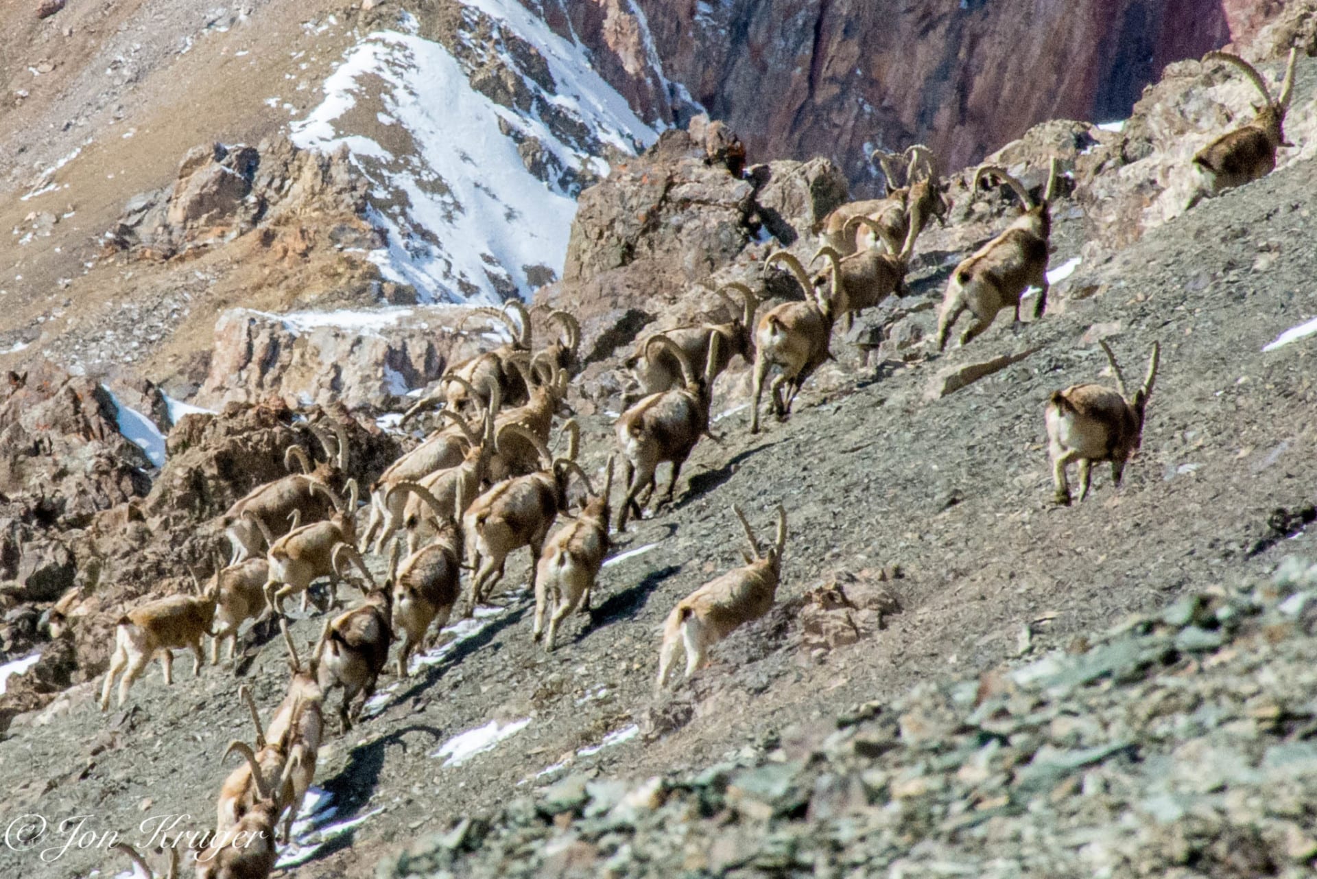 Ibex hunting in Kyrgyzstan