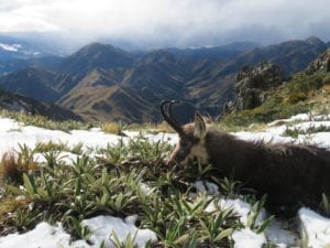 The area is accessed with a short but scenic helicopter trip, flying through some of the most pristine and beautiful scenery in the world.