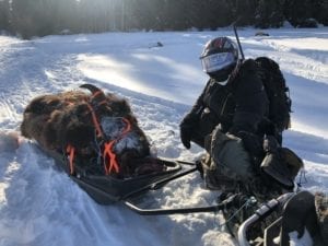 Our hunts take place on crown land in Northern Alberta