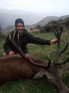 Free Range Red Stag Hunt in New Zealand