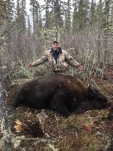 Shooting a trophy bison is not uncommon, in fact it’s the best opportunity on Earth to shoot a free range wild woodland bison.