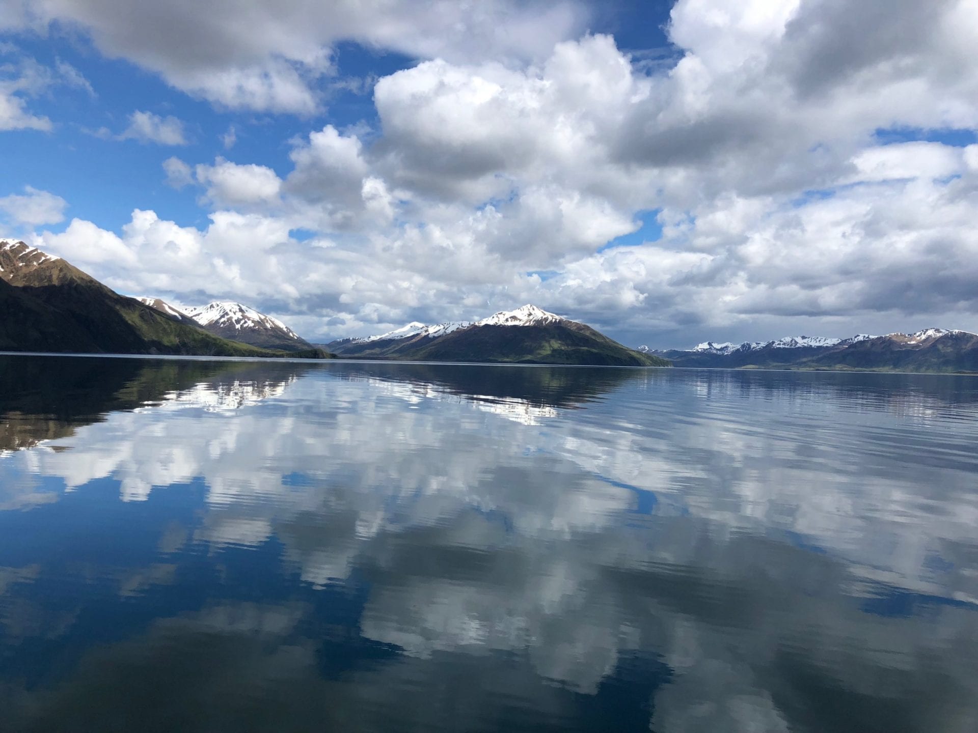 Beautiful Kodiak