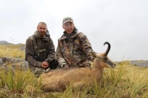 High Trophy Quality. The focus is on mature Chamois buck.