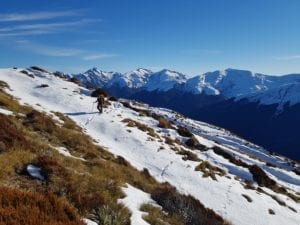 Wilderness hunting takes place on public land in the most spectacular and remote parts of the Eastern and Western sides of the Southern Alps, this is a real New Zealand hunting experience.|