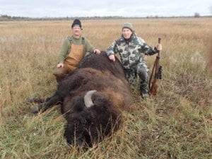 Our average Bison score SCI is over 62 inches on this hunt.