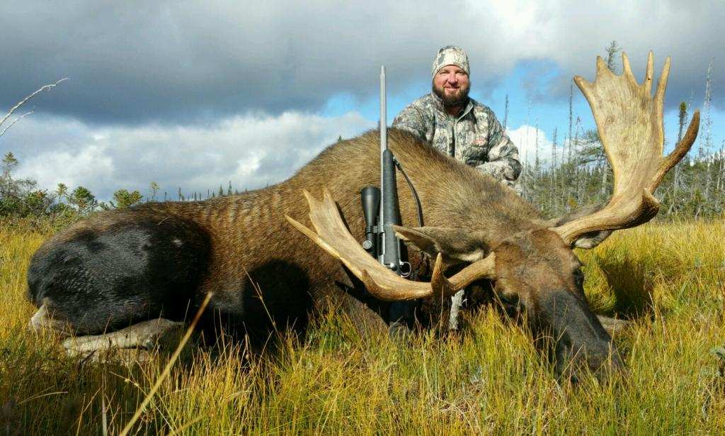 Newfoundland Moose Hunts - Arluk Outfitters