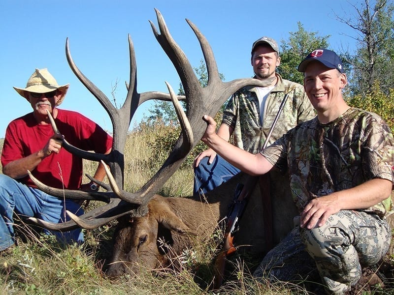 trophy elk