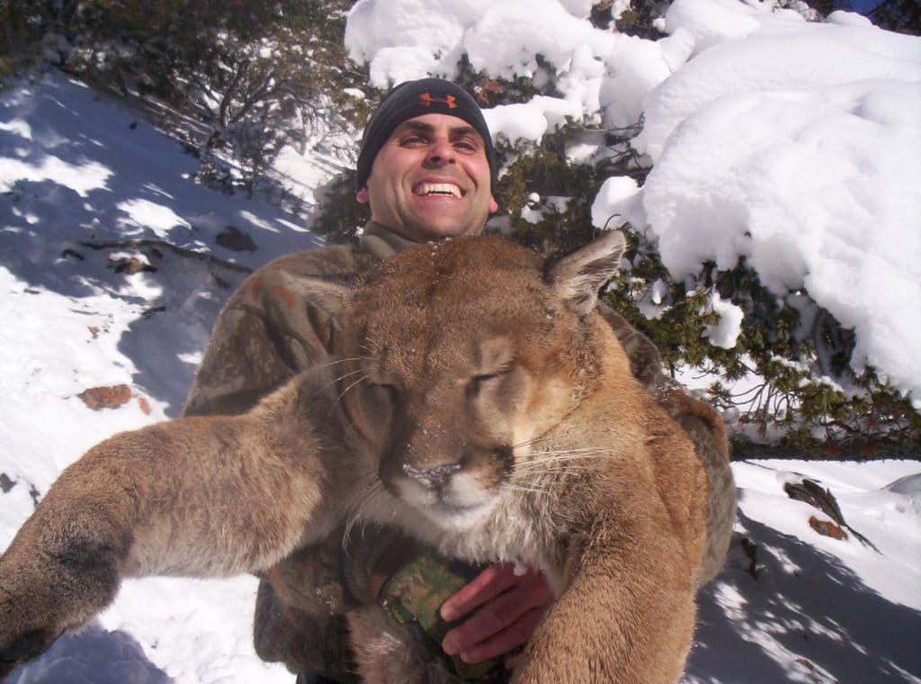 Trophy Mountain Lion