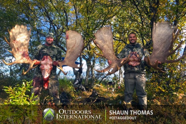 Saw lots of moose. Saw quite a few smaller bulls but also killed 2 great bulls.