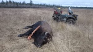 Hunt from quads during the early hunt