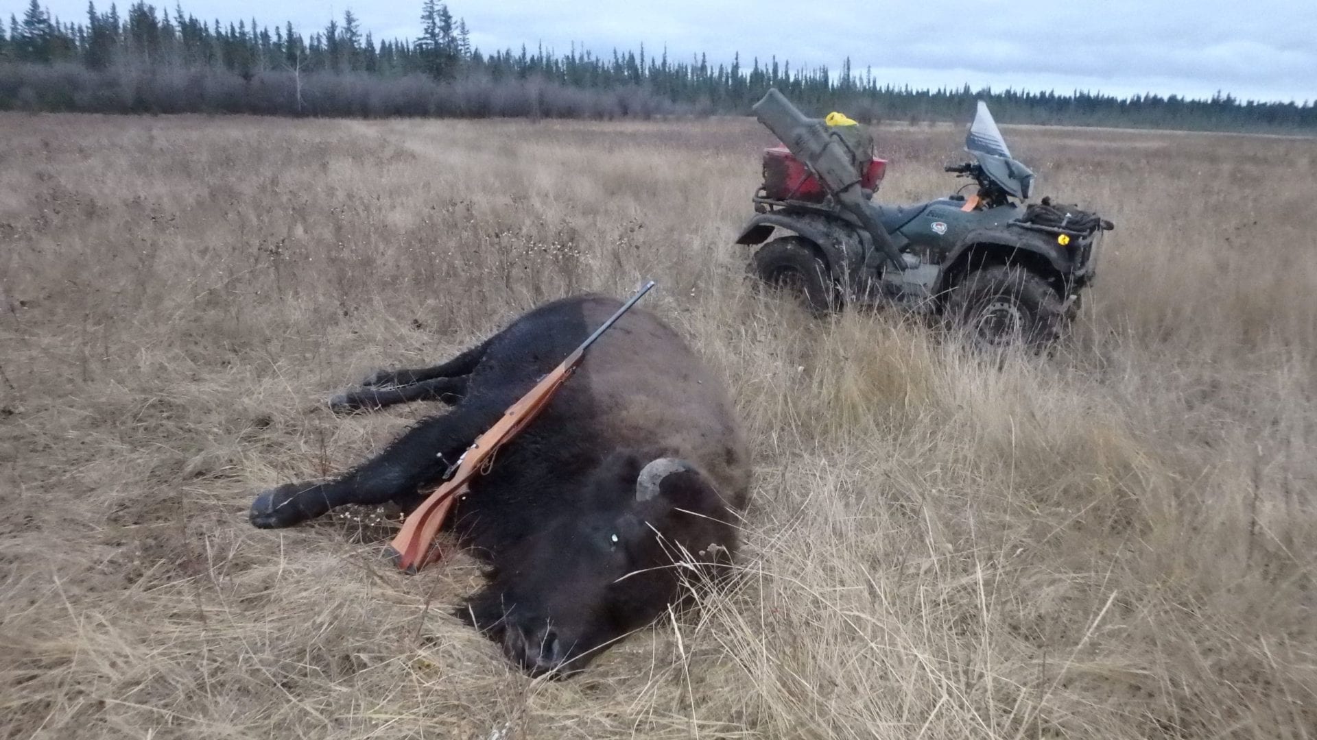 Hunt from quads during the early hunt